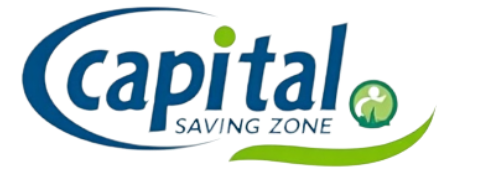 capital saving zone